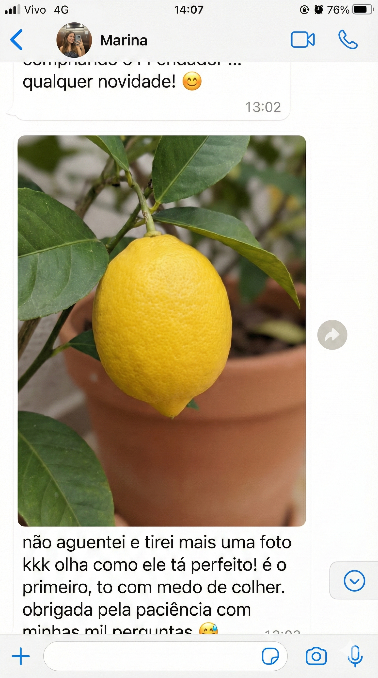 Gemini_Generated_Image_o1yakuo1yakuo1ya